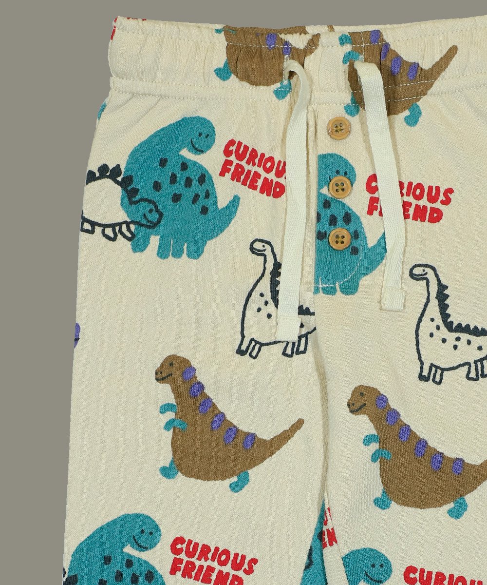 Boys Trouser (0/3 M-6 Years) (102702)