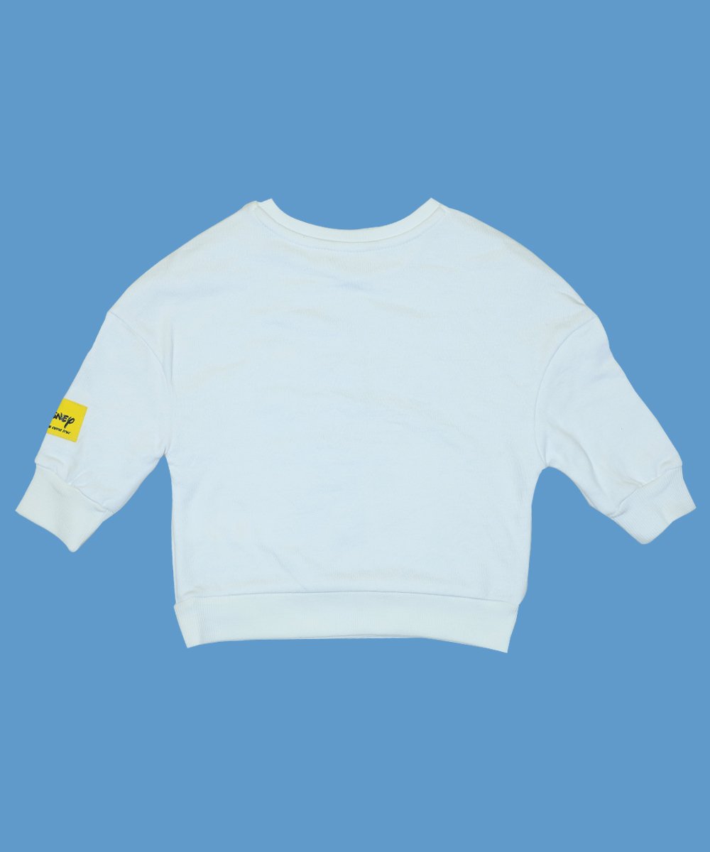 Girls Sweat Shirt (0/3 M-6 Years) (103843)