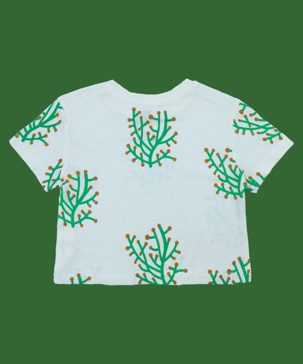 Boys 2 Pcs Set (0/3 M-6 Years) (101830)