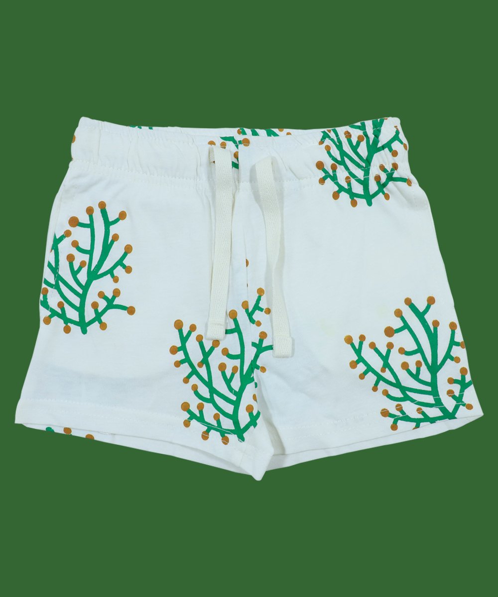 Boys 2 Pcs Set (0/3 M-6 Years) (101830)