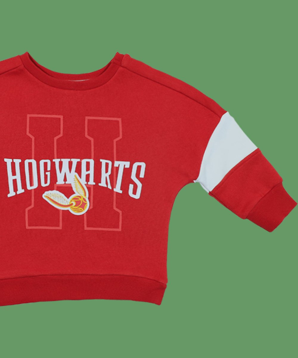 Boys  Sweat Shirt ( 0/3 M-6 Years) (104120)