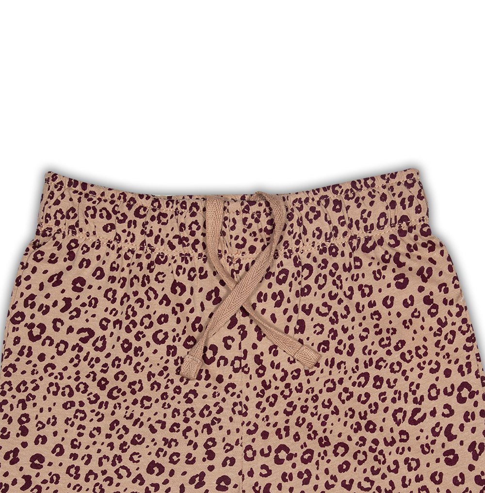 New Born Short Pant (Size-0/3 M to 6 Year) (102137)
