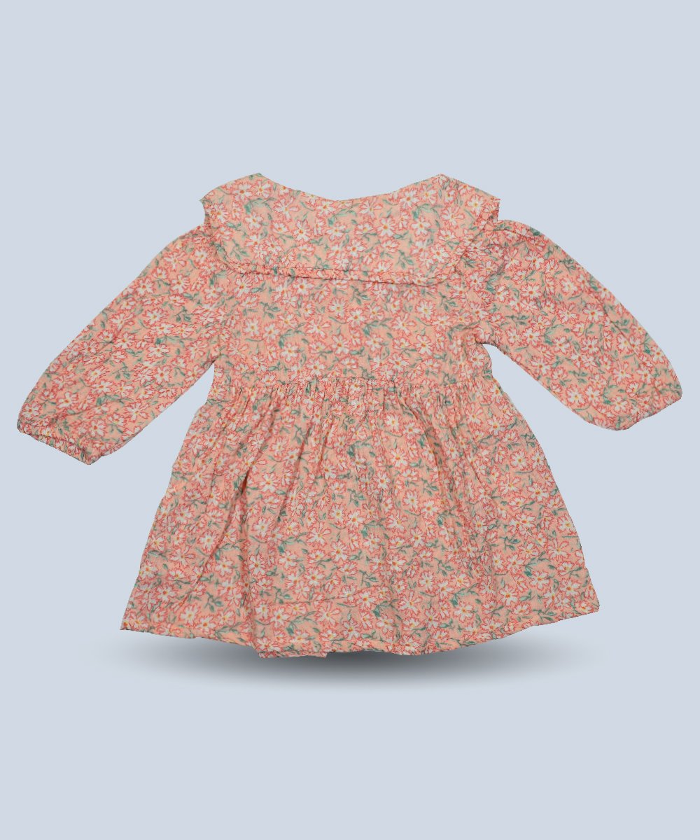 Girls Dress (0/3 M-6 Years) (103791)