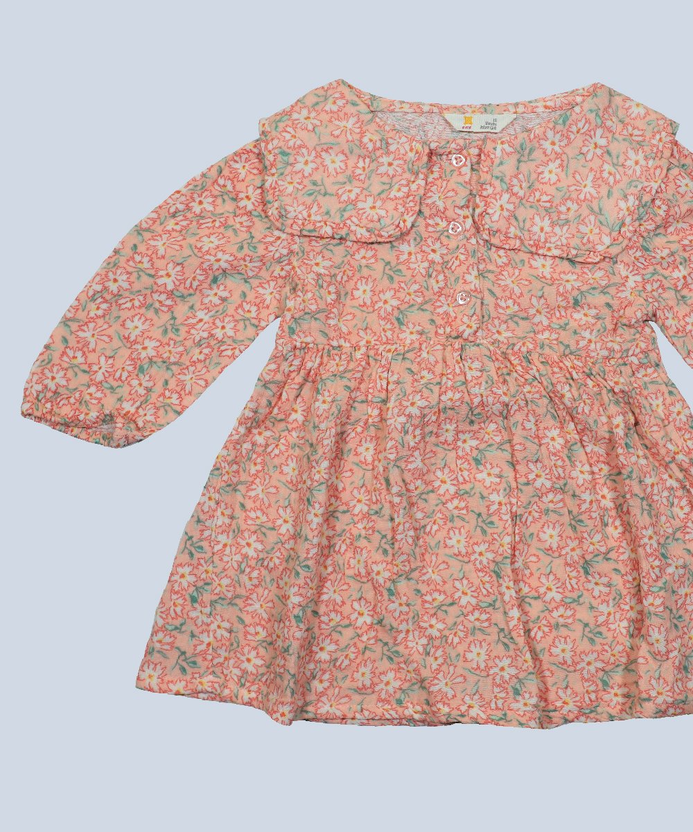 Girls Dress (0/3 M-6 Years) (103791)