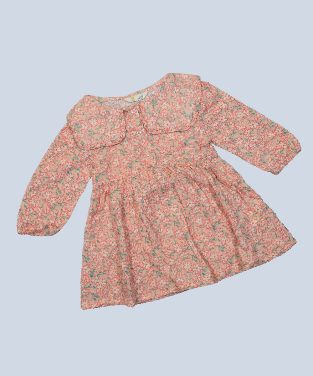 Girls Dress (0/3 M-6 Years) (103791)