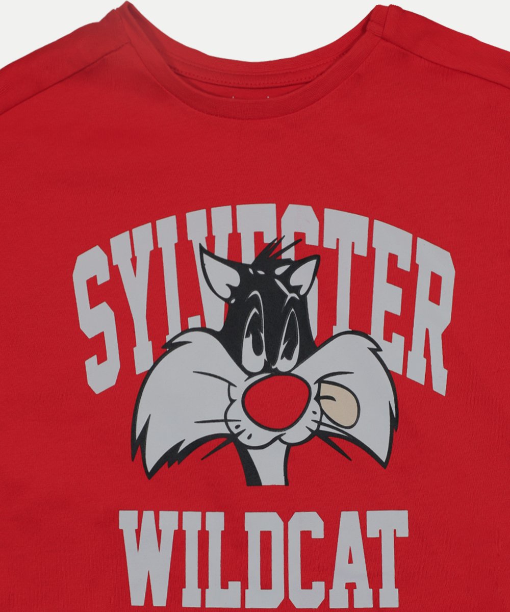 Boys Short Sleeve T-Shirt (0/3 M-6 Years) (106785)