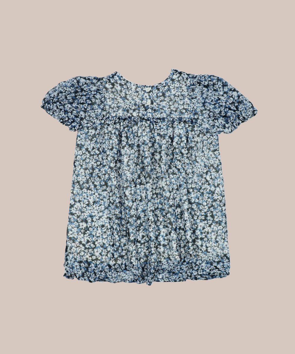 Girls Dress (0/3 M-6 Years) (108357)