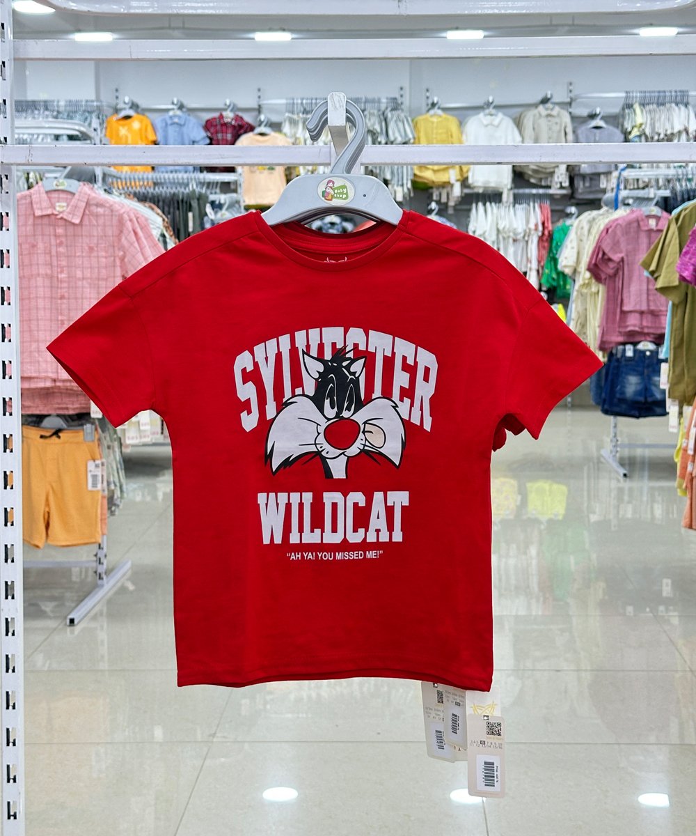 Boys Short Sleeve T-Shirt (0/3 M-6 Years) (106785)