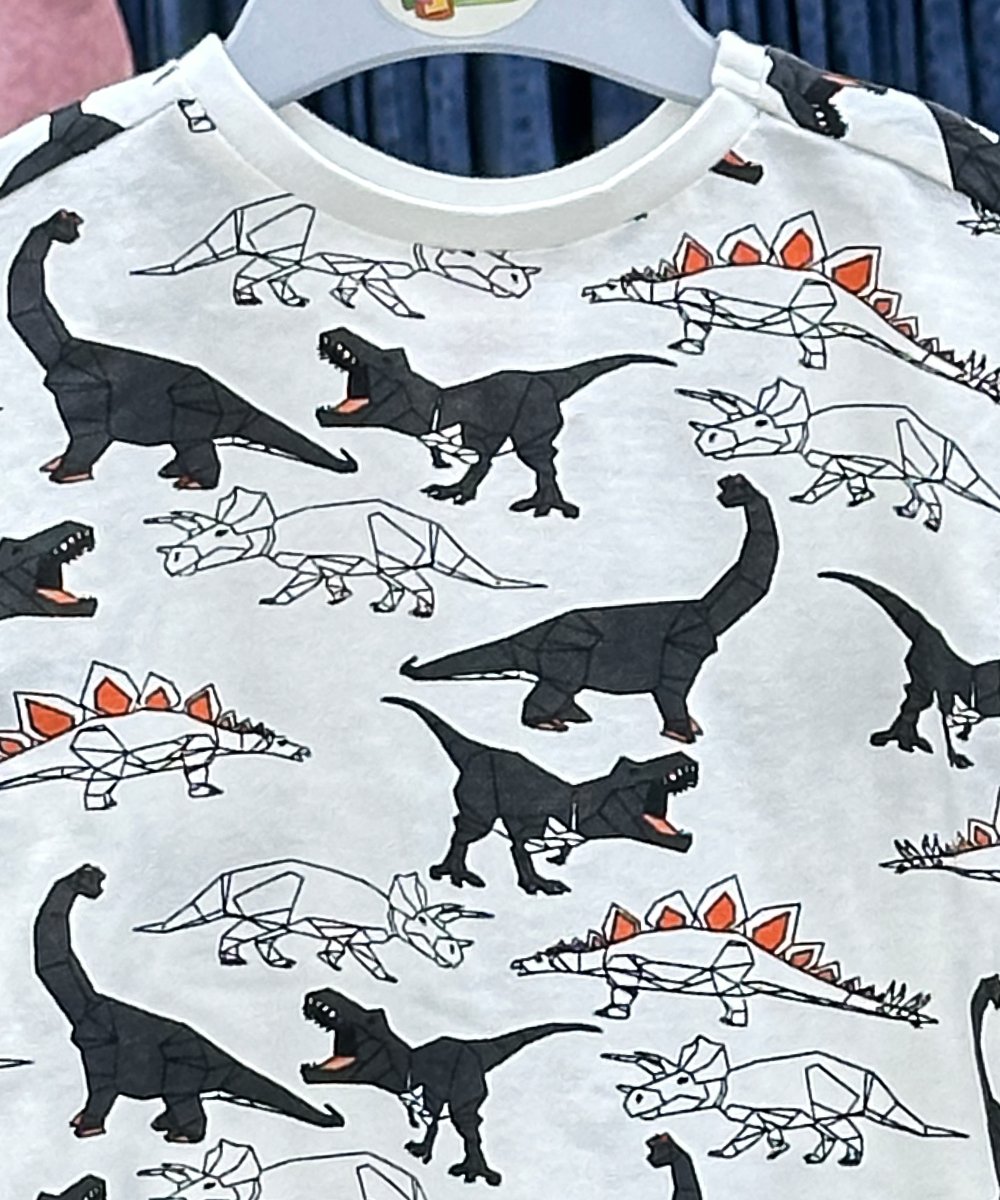 Boys Short Sleeve T-Shirt (0/3 M-6 Years) (106544)